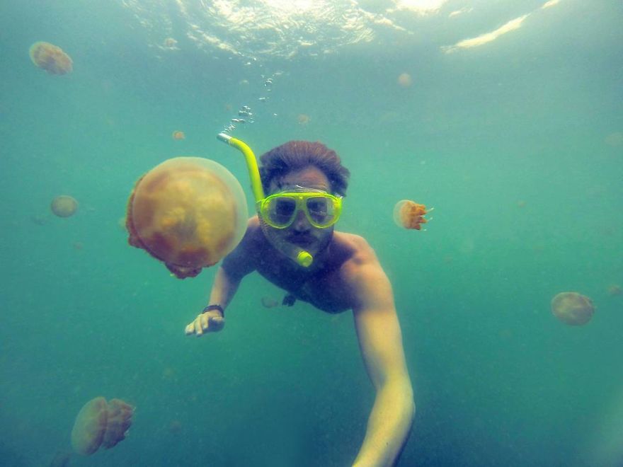 Meet My Math Teacher!