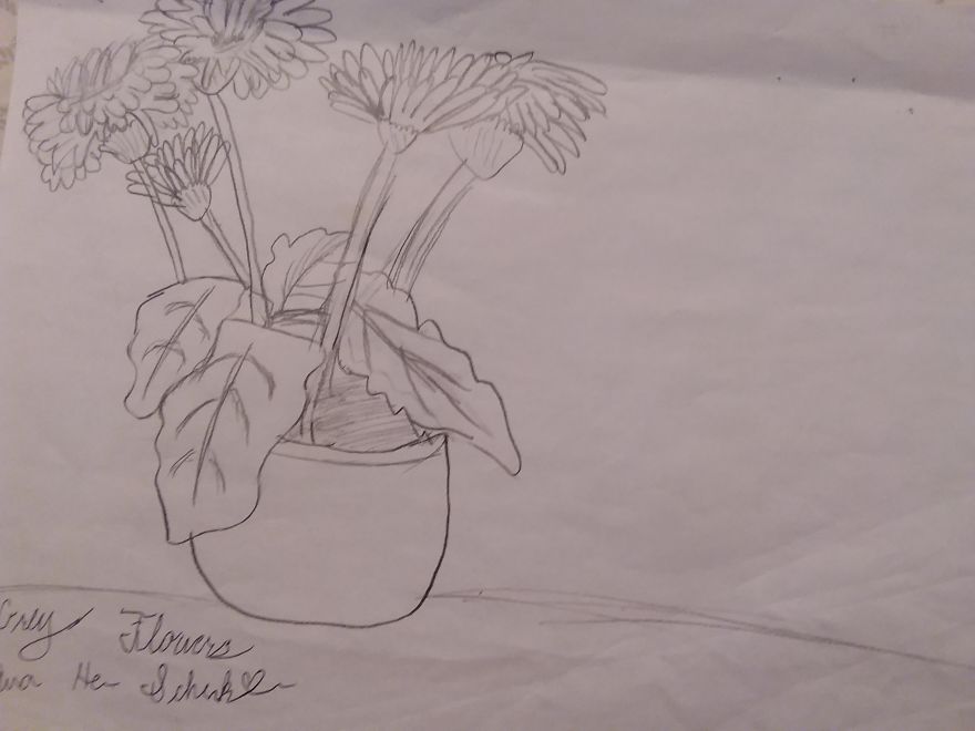 9 Year Old Girl Creates Amazing Drawings