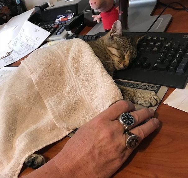 It's A Wonder How We Get Any Work Done Around Here