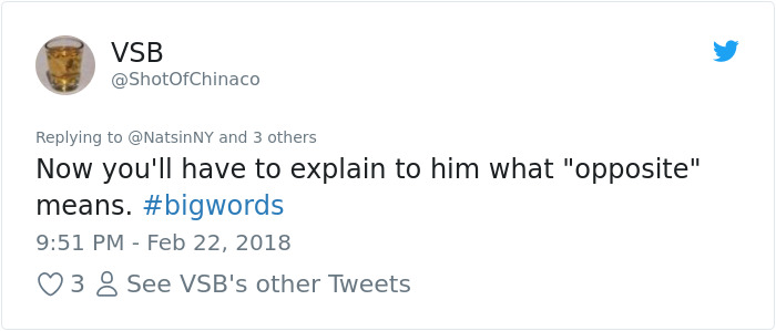 Someone Tries To Attack A Lawyer Protecting Student Right To Protest Gun Laws, Immediately Regrets It