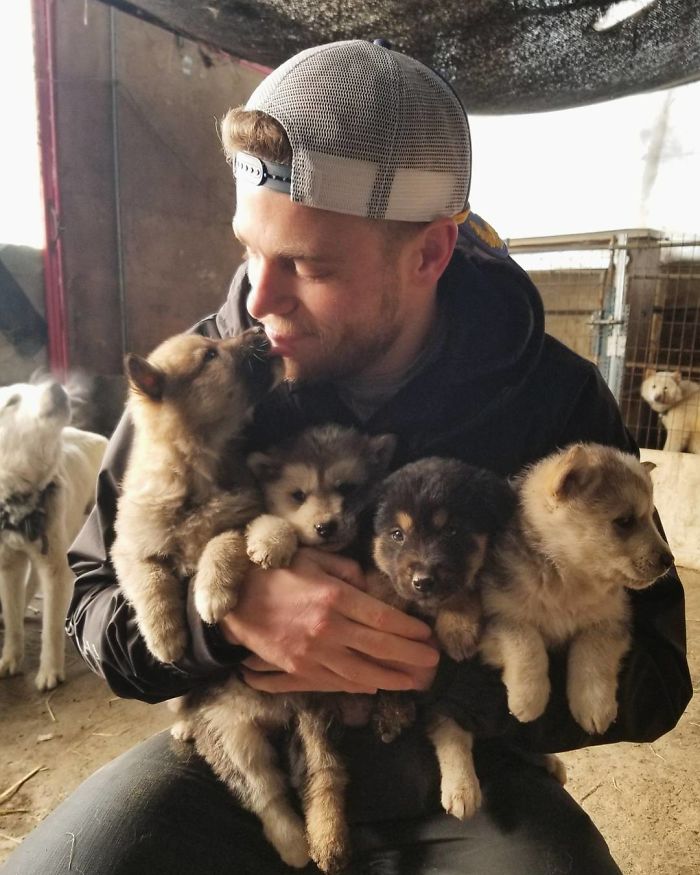 US Olympic Skier Gus Kenworthy Rescued 90 Dogs From Korean Dog Meat Farm US Olympic Skier Gus Kenworthy Rescued 90 Dogs From Korean Dog Meat Farm