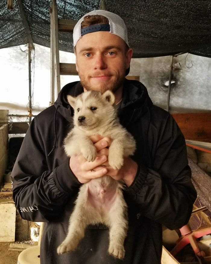 US Olympic Skier Gus Kenworthy Rescued 90 Dogs From Korean Dog Meat Farm