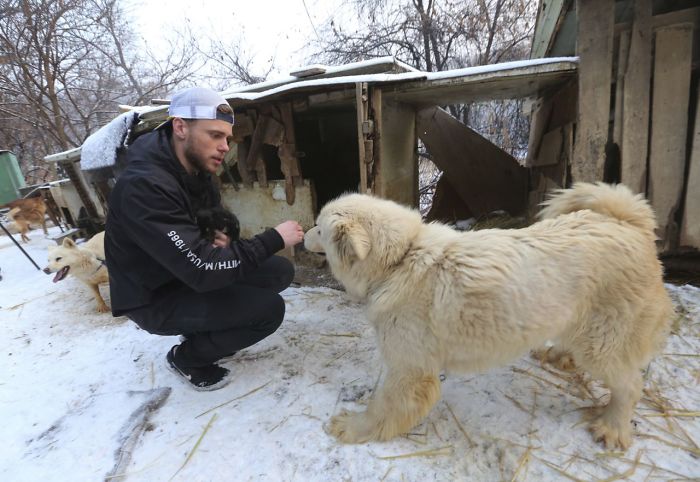 US Olympic Skier Gus Kenworthy Rescued 90 Dogs From Korean Dog Meat Farm