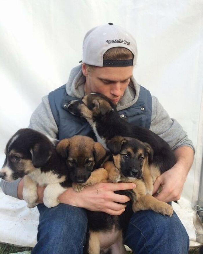US Olympic Skier Gus Kenworthy Rescued 90 Dogs From Korean Dog Meat Farm US Olympic Skier Gus Kenworthy Rescued 90 Dogs From Korean Dog Meat Farm