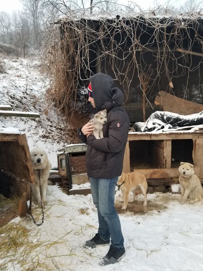 US Olympic Skier Gus Kenworthy Rescued 90 Dogs From Korean Dog Meat Farm