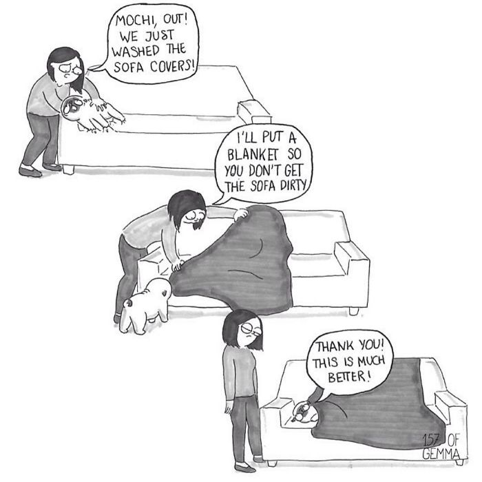 Pug-Mochi-Comic-Gemma-Gene-157ofgemma