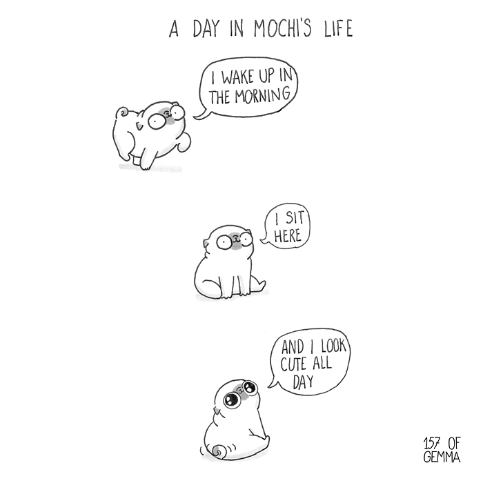 Pug-Mochi-Comic-Gemma-Gene-157ofgemma