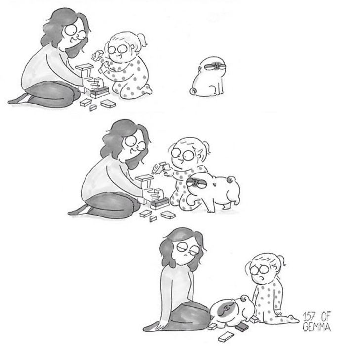 Pug-Mochi-Comic-Gemma-Gene-157ofgemma