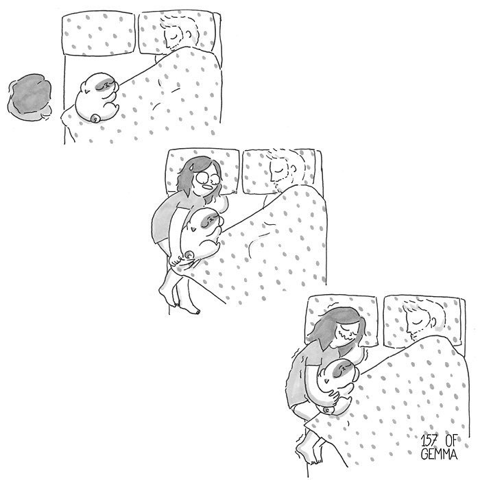 Pug-Mochi-Comic-Gemma-Gene-157ofgemma