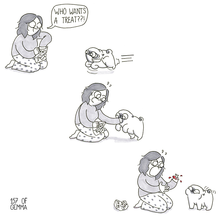 Pug-Mochi-Comic-Gemma-Gene-157ofgemma