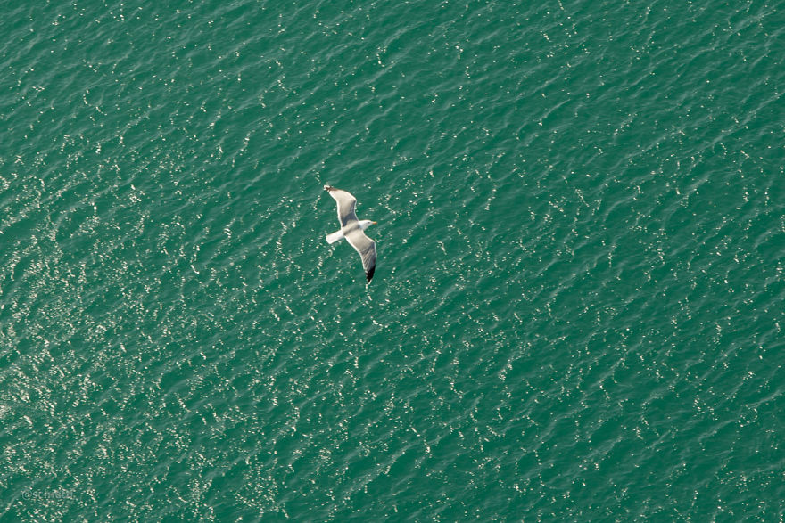 Barcelona From Bird's-Eye View