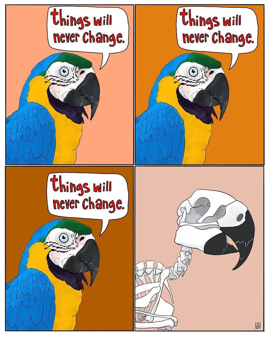 I'm An Illustrator And I Make Comics About Anxiety