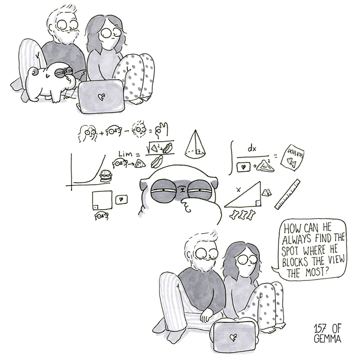 Pug-Mochi-Comic-Gemma-Gene-157ofgemma