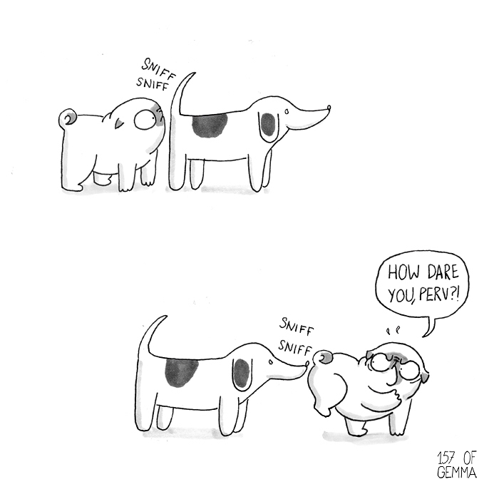 Pug-Mochi-Comic-Gemma-Gene-157ofgemma