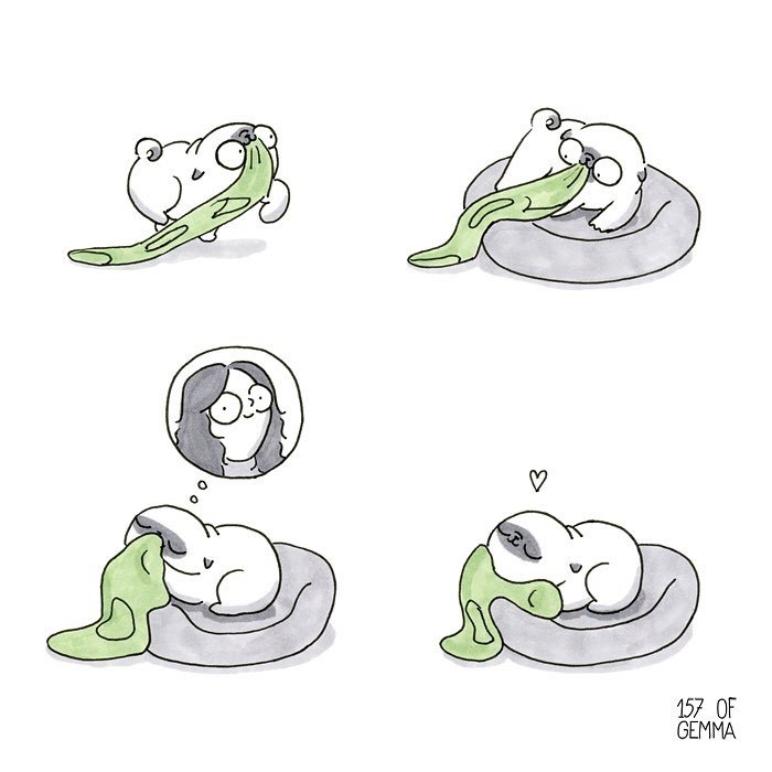 Pug-Mochi-Comic-Gemma-Gene-157ofgemma