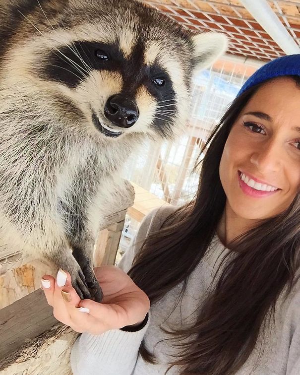 Before I Started Traveling, I Spent A Few Days A Week Volunteering With Rescue Dogs, Cats, Foxes, And "Trash Pandas"