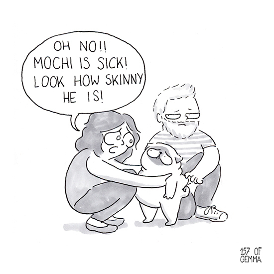 Pug-Mochi-Comic-Gemma-Gene-157ofgemma