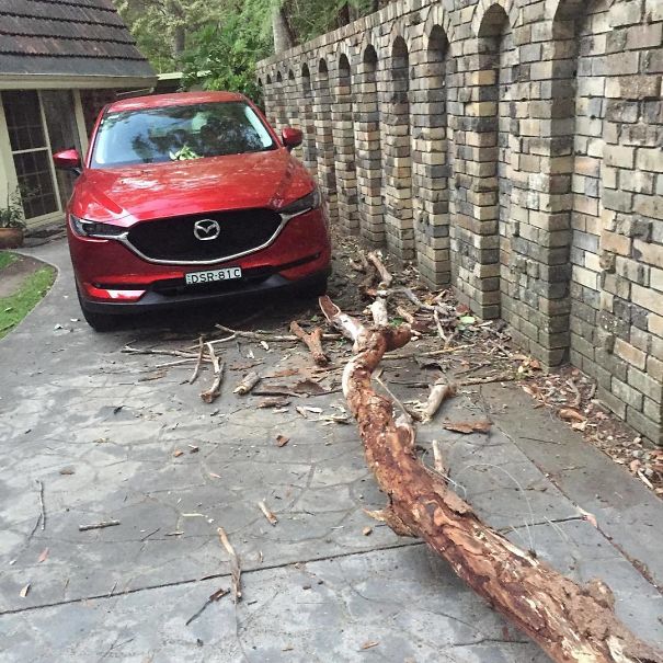 Thought I Heard A Noise Last Night