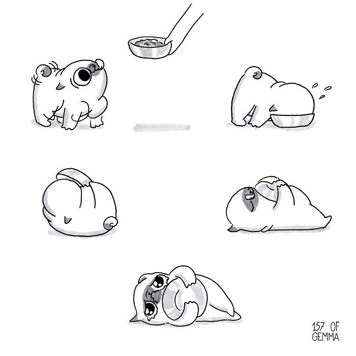 Pug-Mochi-Comic-Gemma-Gene-157ofgemma