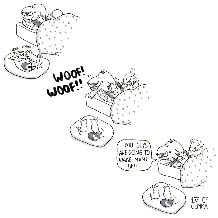 Pug-Mochi-Comic-Gemma-Gene-157ofgemma