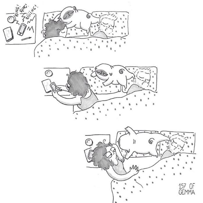 Pug-Mochi-Comic-Gemma-Gene-157ofgemma