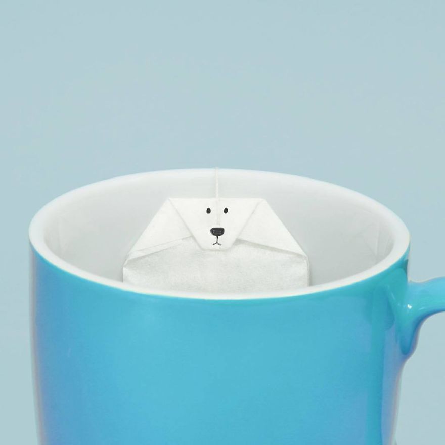 I Like Telling Visual Stories With Food