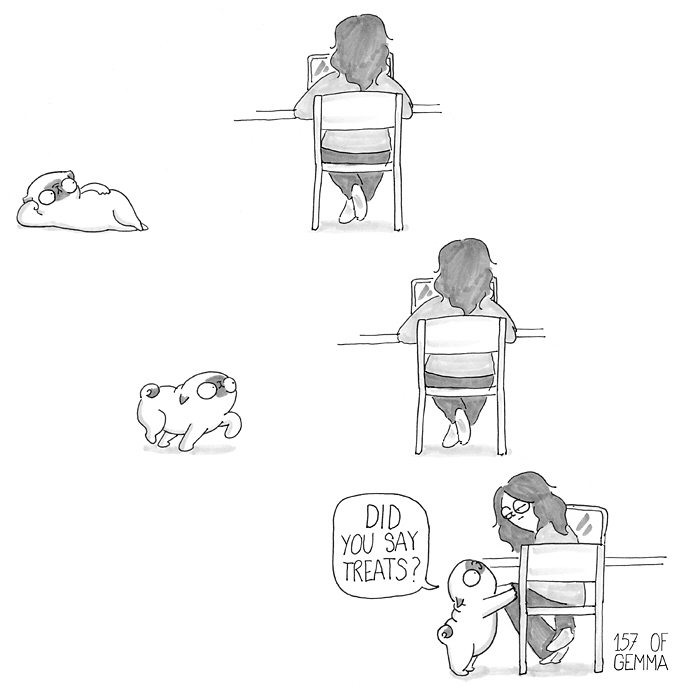 Pug-Mochi-Comic-Gemma-Gene-157ofgemma