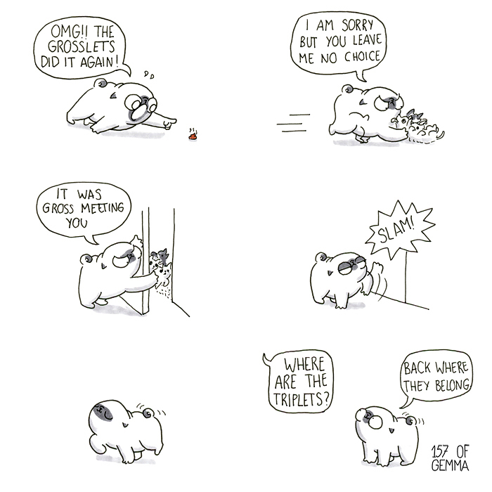 Pug-Mochi-Comic-Gemma-Gene-157ofgemma
