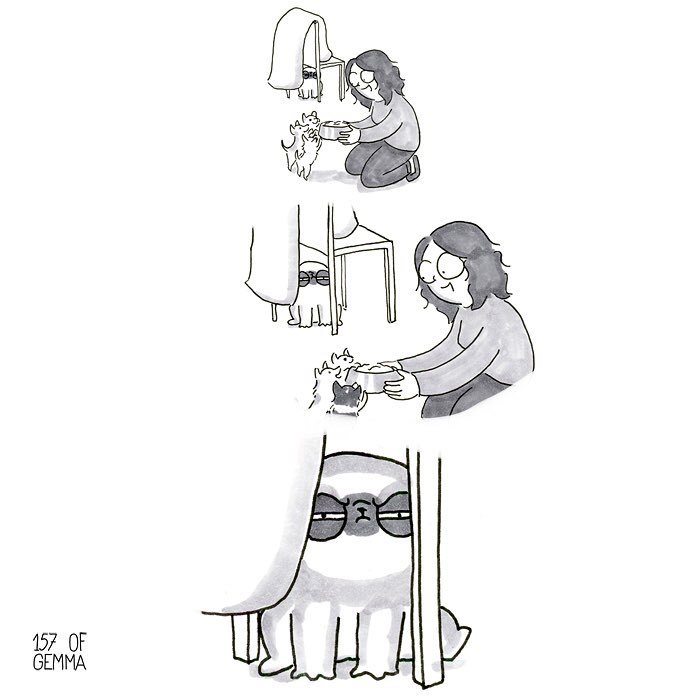 Pug-Mochi-Comic-Gemma-Gene-157ofgemma