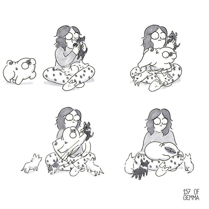 Pug-Mochi-Comic-Gemma-Gene-157ofgemma