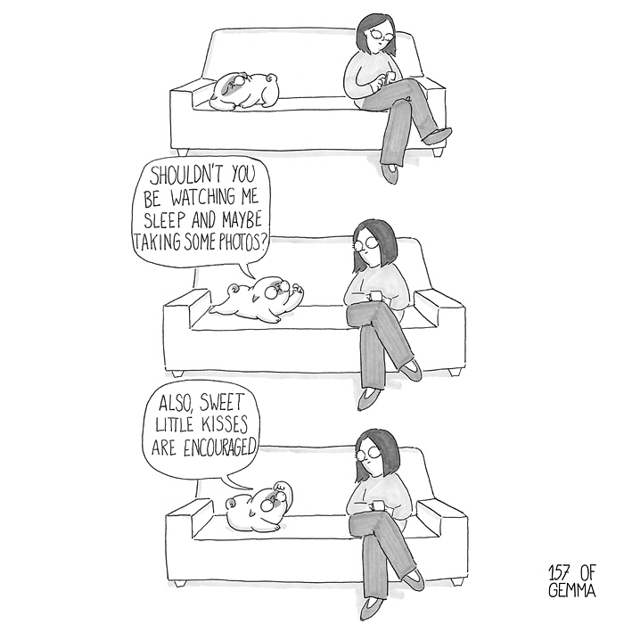 Pug-Mochi-Comic-Gemma-Gene-157ofgemma