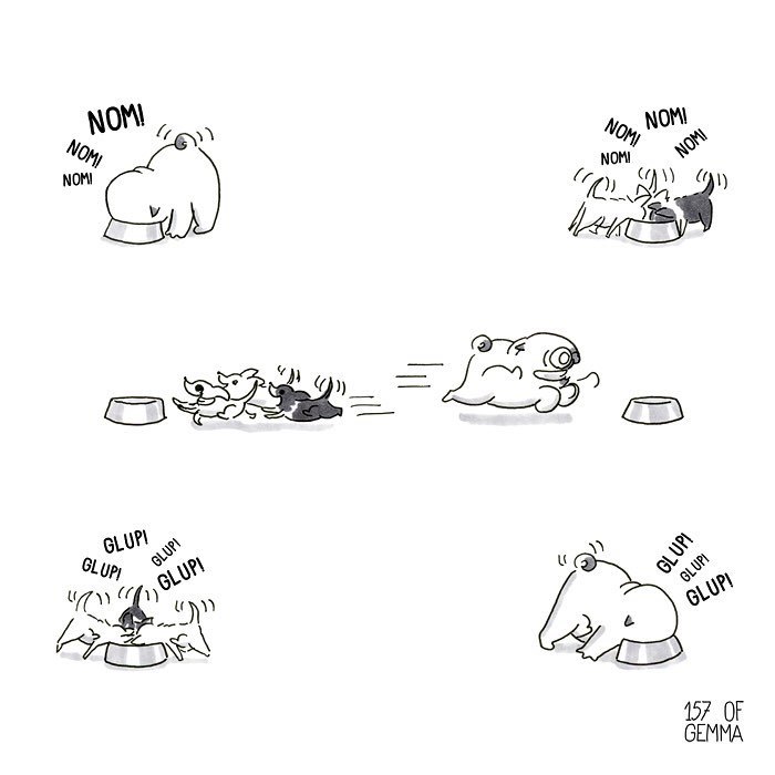 Pug-Mochi-Comic-Gemma-Gene-157ofgemma