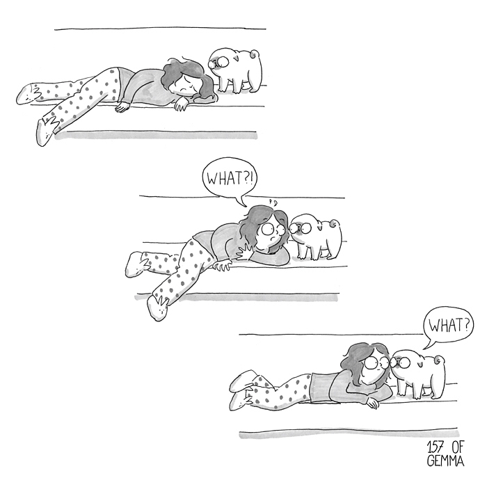 Pug-Mochi-Comic-Gemma-Gene-157ofgemma