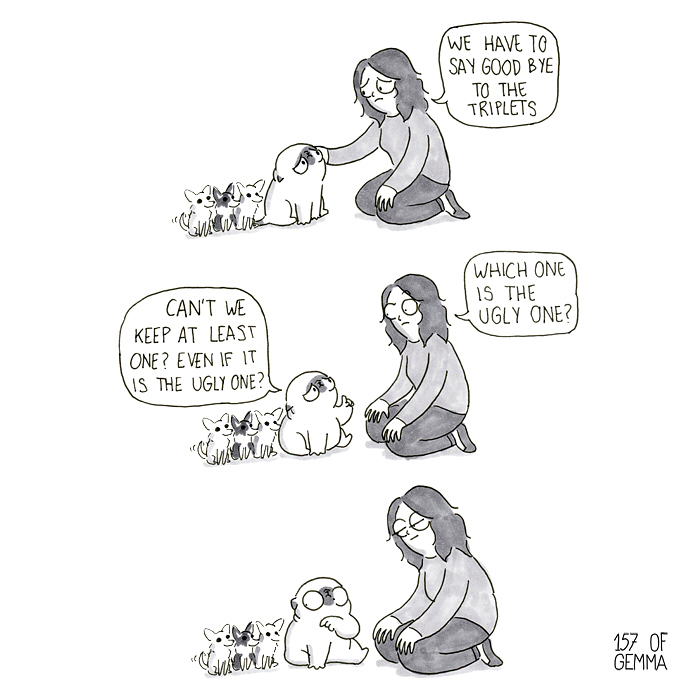 Pug-Mochi-Comic-Gemma-Gene-157ofgemma