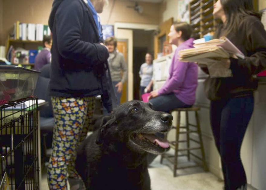 Family Gets A Shock Of A Lifetime When Their Dog Returns After Disappearing 10 Years Ago