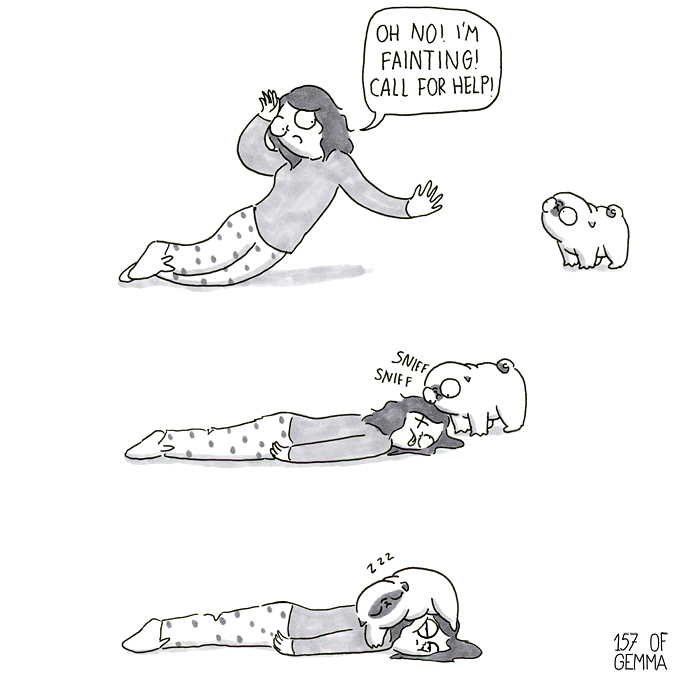 Pug-Mochi-Comic-Gemma-Gene-157ofgemma