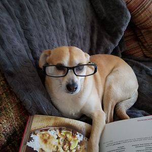 jennifercarrasco avatar