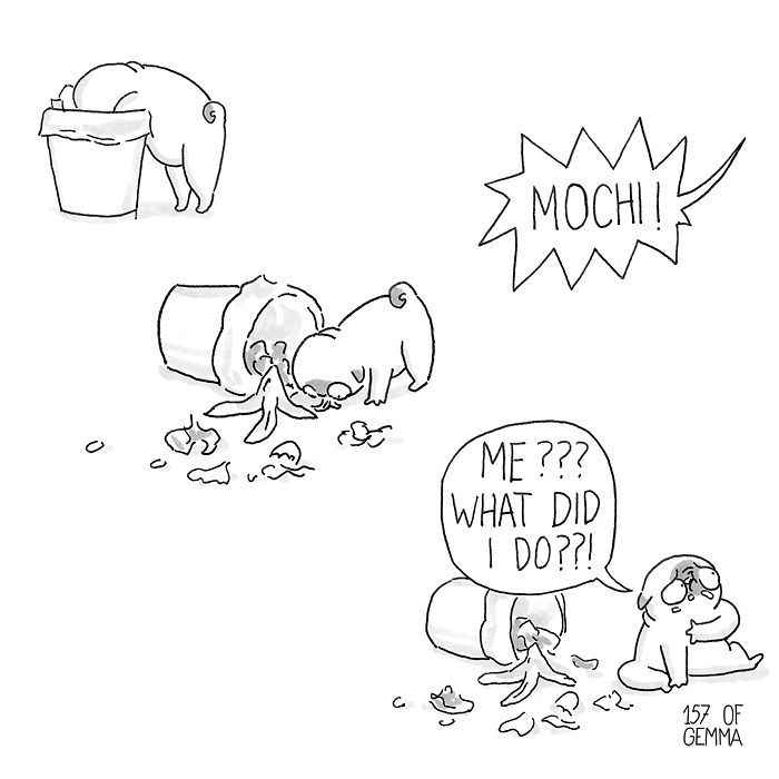 Pug-Mochi-Comic-Gemma-Gene-157ofgemma