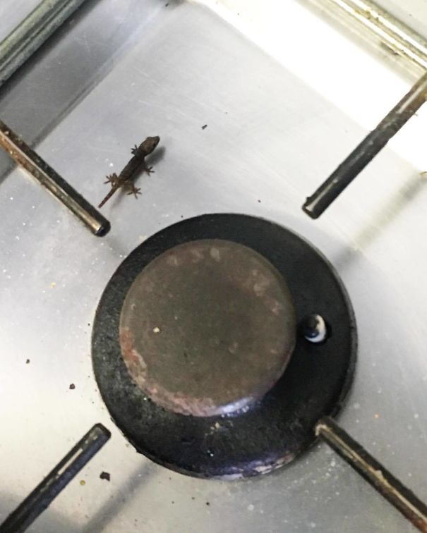 Nearly Got Cooked Tonight!