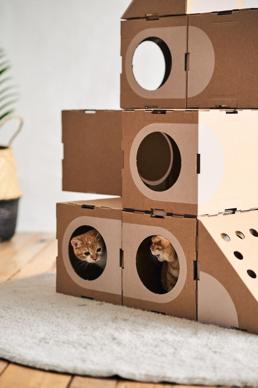 Architect Couple Turns Cardboard Boxes Into Stackable Cat Fort, And Here's How Cats React Architect Couple Turns Cardboard Boxes Into Stackable Cat Fort, And Here's How Cats React