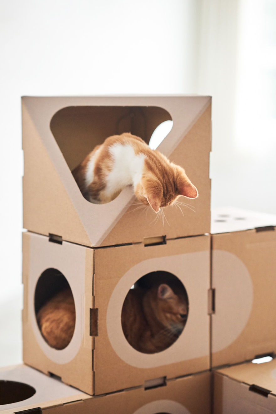 Architect Couple Turns Cardboard Boxes Into Stackable Cat Fort, And Here's How Cats React Architect Couple Turns Cardboard Boxes Into Stackable Cat Fort, And Here's How Cats React
