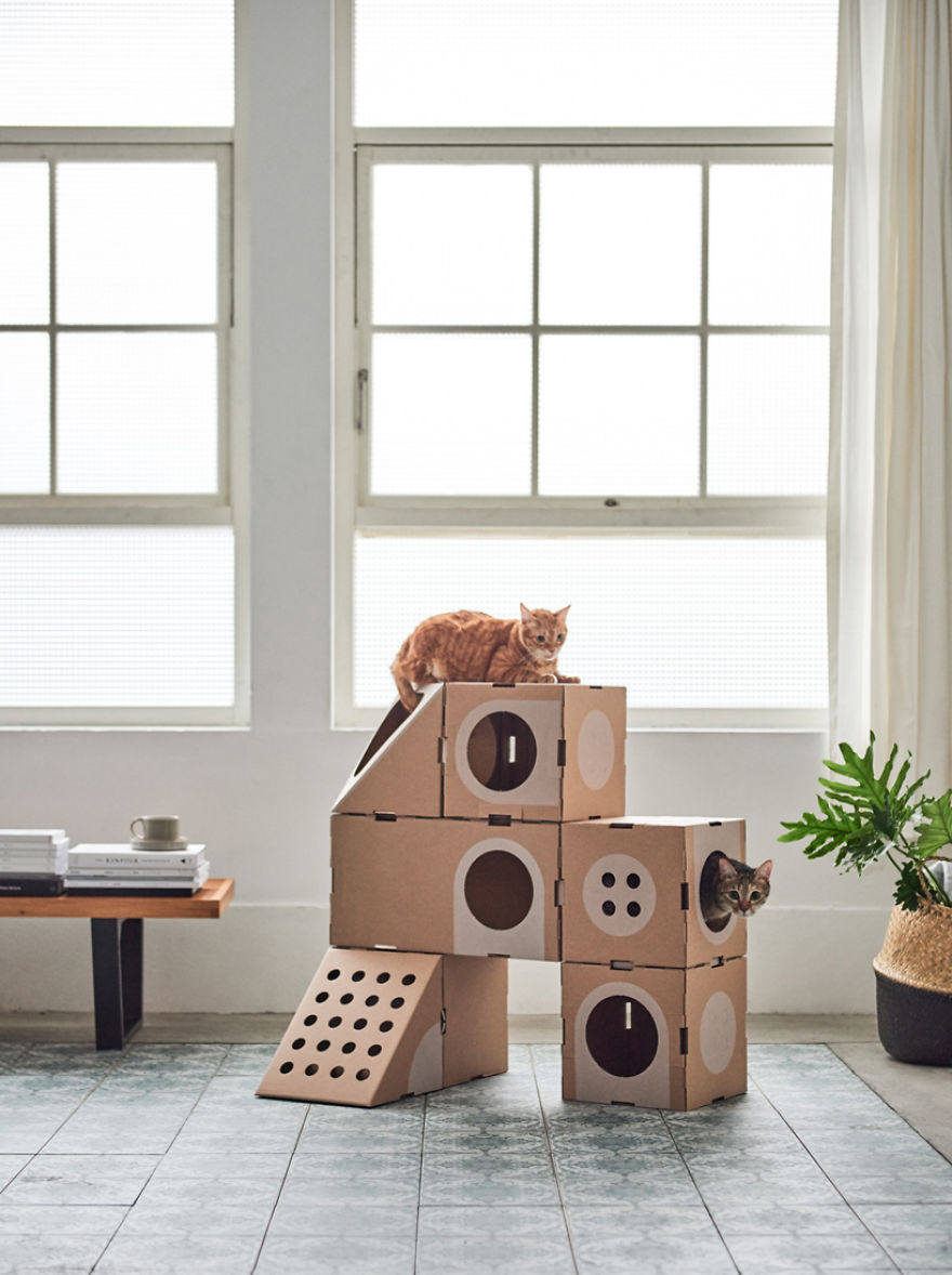 Architect Couple Turns Cardboard Boxes Into Stackable Cat Fort, And Here's How Cats React Architect Couple Turns Cardboard Boxes Into Stackable Cat Fort, And Here's How Cats React
