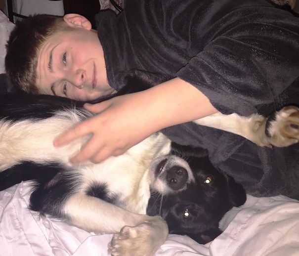 Two Big Inseparable Puppies !