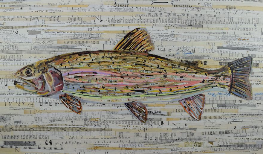Rainbow Trout