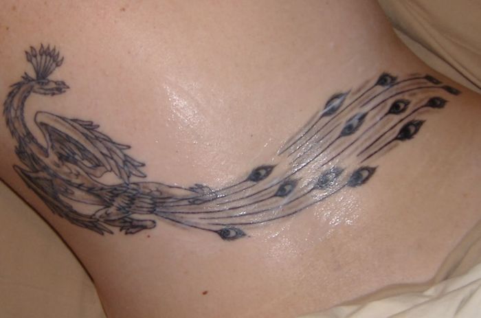 Phoenix tattoo design with flowing tail on skin.