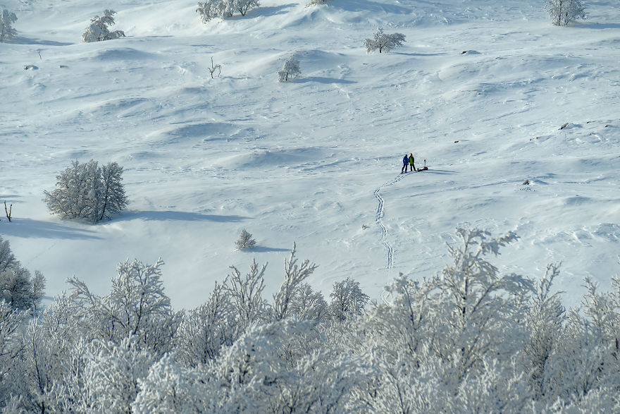 Several Weeks Of Heavy Snowfall Turned Norway Into A Winter Wonderland And I Was Lucky To Capture It