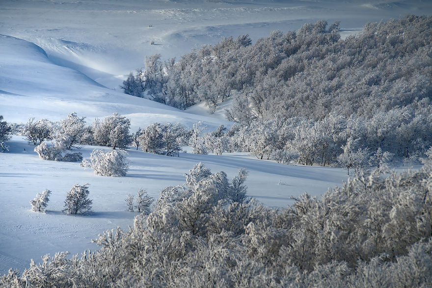 Several Weeks Of Heavy Snowfall Turned Norway Into A Winter Wonderland And I Was Lucky To Capture It
