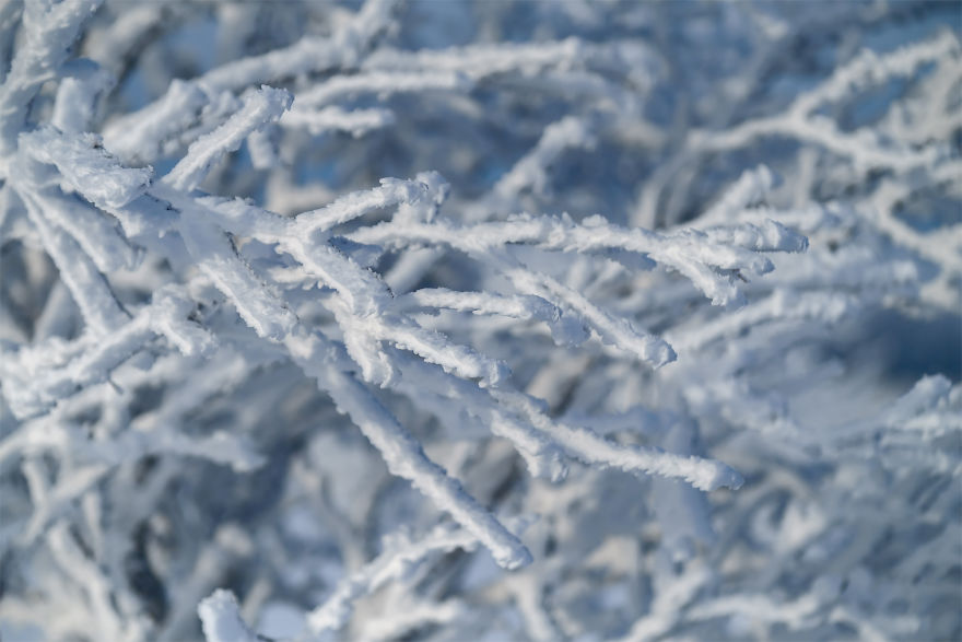 Several Weeks Of Heavy Snowfall Turned Norway Into A Winter Wonderland And I Was Lucky To Capture It Several Weeks Of Heavy Snowfall Turned Norway Into A Winter Wonderland And I Was Lucky To Capture It