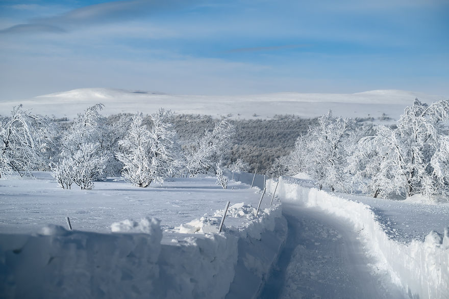 Several Weeks Of Heavy Snowfall Turned Norway Into A Winter Wonderland And I Was Lucky To Capture It