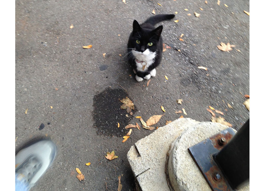 Delusions Of Grand&eacute; Part 3: The 13 Most Annoying People At Starbucks